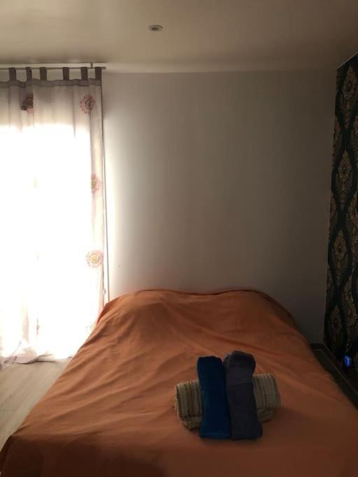Logement Entier Entree Autonome Ch,Sdd,Cs Privatives Aussonne ภายนอก รูปภาพ